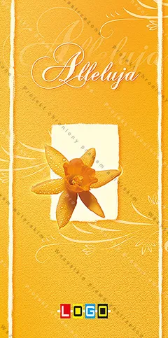 Złotopomarańczowa okładka z białym napisem „Alleluja” i miodowym narcyzem w kremowym prostokącie